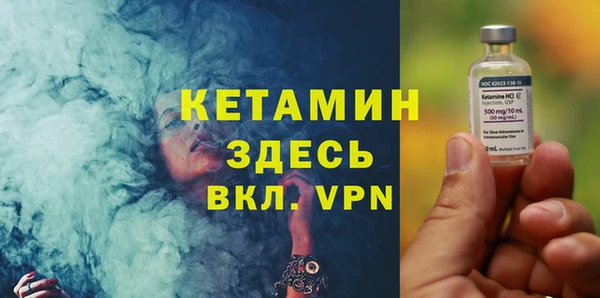прущие грибы Медвежьегорск