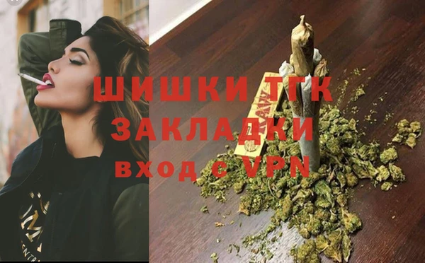 прущие грибы Медвежьегорск