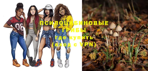 прущие грибы Медвежьегорск