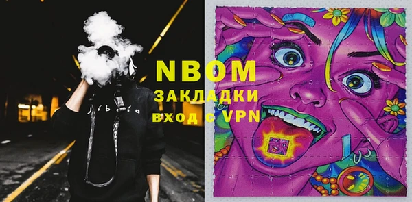 прущие грибы Медвежьегорск