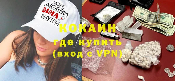 прущие грибы Медвежьегорск