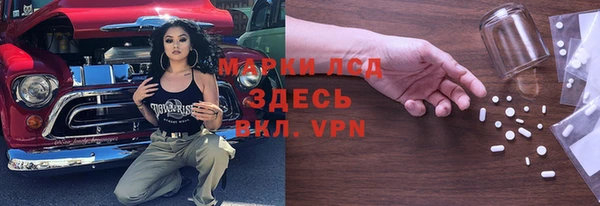 прущие грибы Медвежьегорск