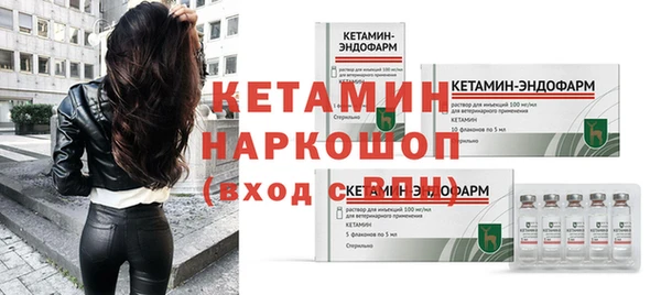 прущие грибы Медвежьегорск