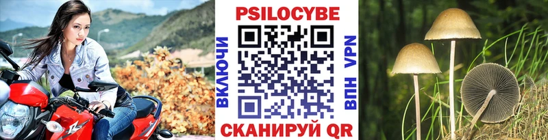 Купить  Владимир  Галлюциногенные грибы Magic Shrooms 