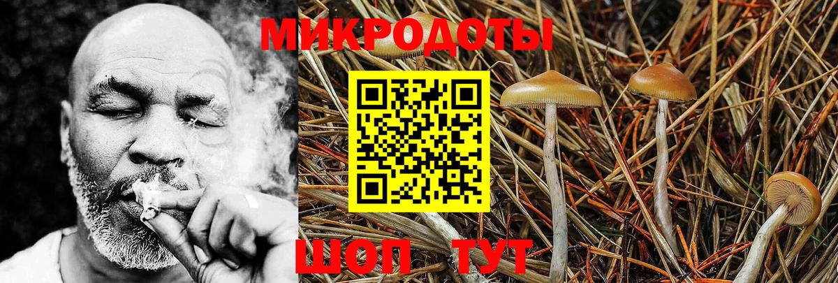 Галлюциногенные грибы Magic Shrooms  Вход с VPN  Владимир 