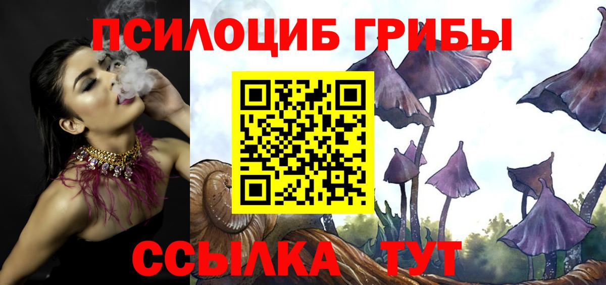 Галлюциногенные грибы MAGIC MUSHROOMS  сколько стоит  Владимир 