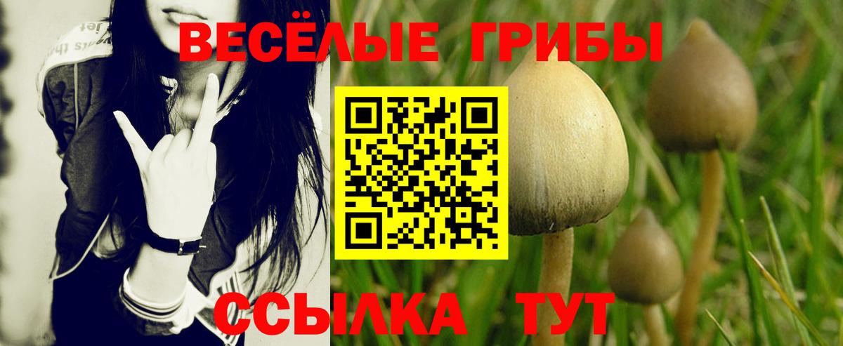 Галлюциногенные грибы Magic Shrooms Владимир